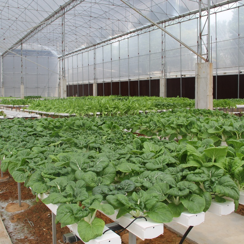 Soilless Farming Techniques Aquaponics Growing Square PVC Pipe Hydroponic System