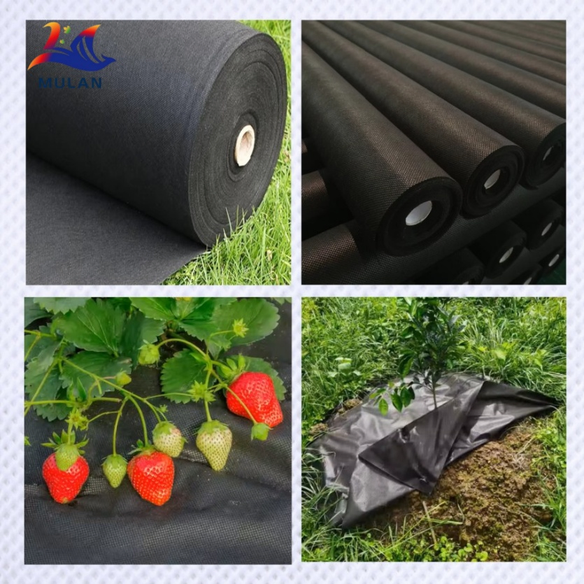 Crop Enhancement Techniques with PP Spunbond Nonwoven Fabric