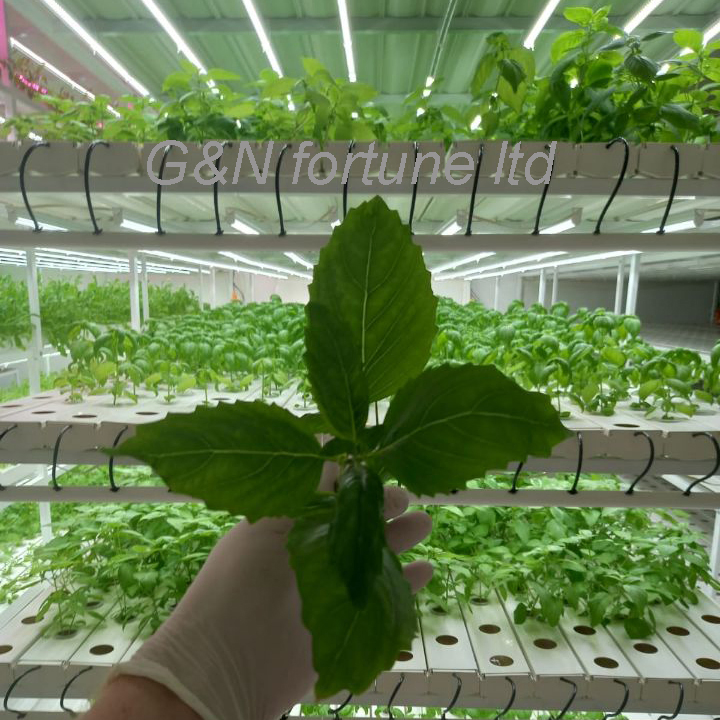 Soilless Farming Techniques Aquaponics Growing Square PVC Pipe Hydroponic System