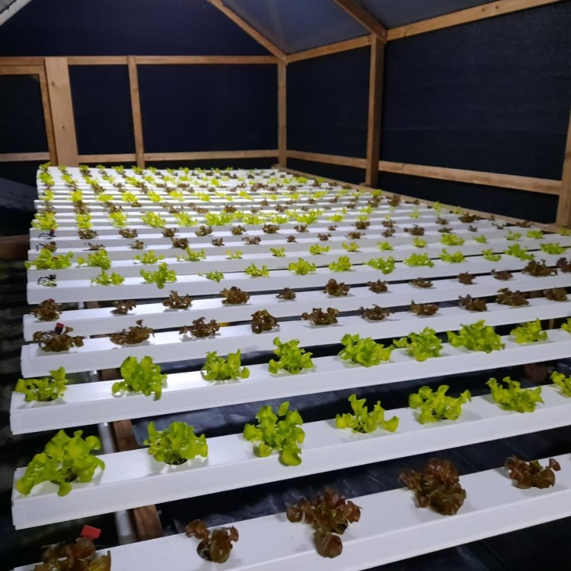 Nft Hydroponic Grow Kit Nft Channels 100X100 Aquaponics Growing Systems