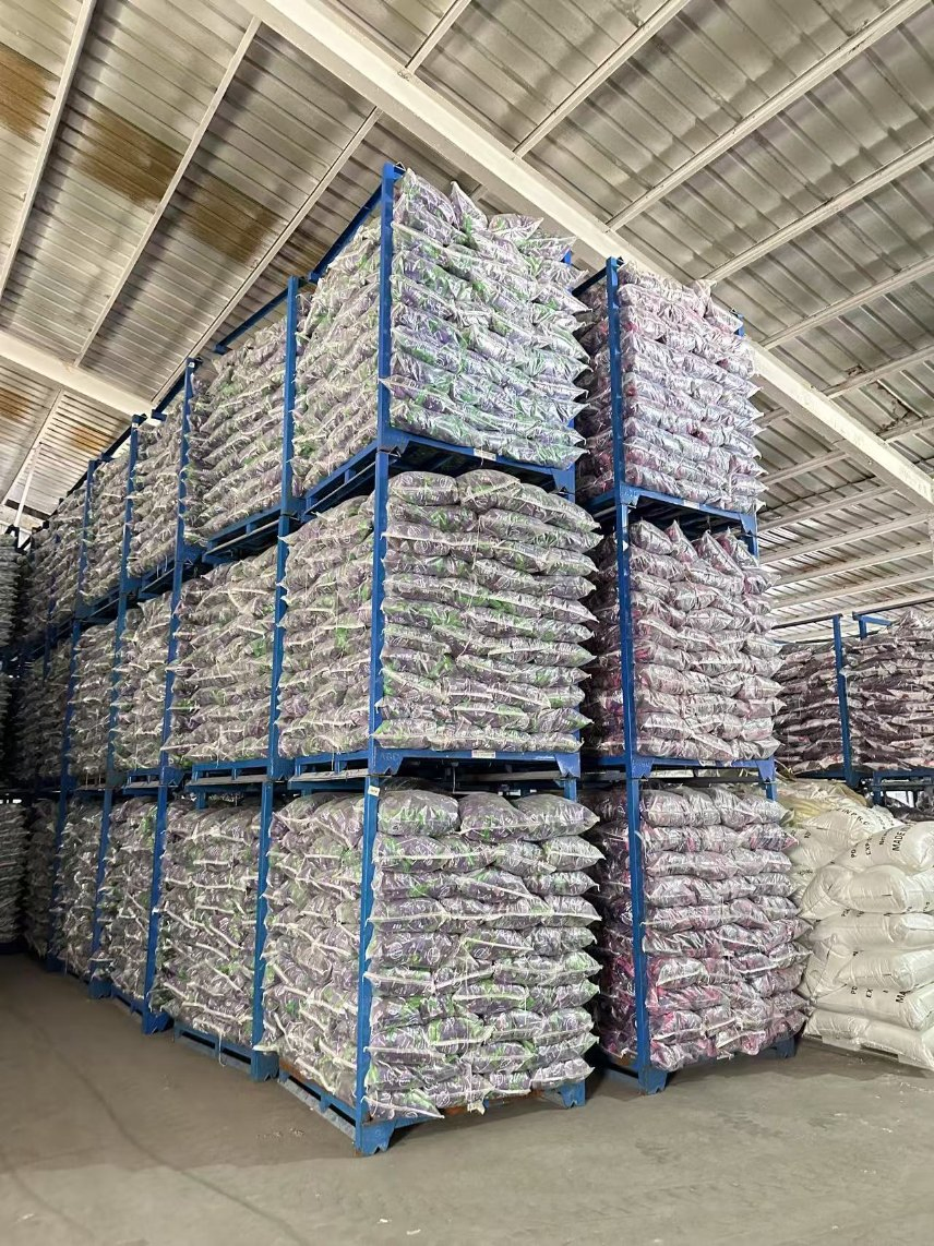 Ultimate Laundry Care: Color Safe and Freshness Assured Solution