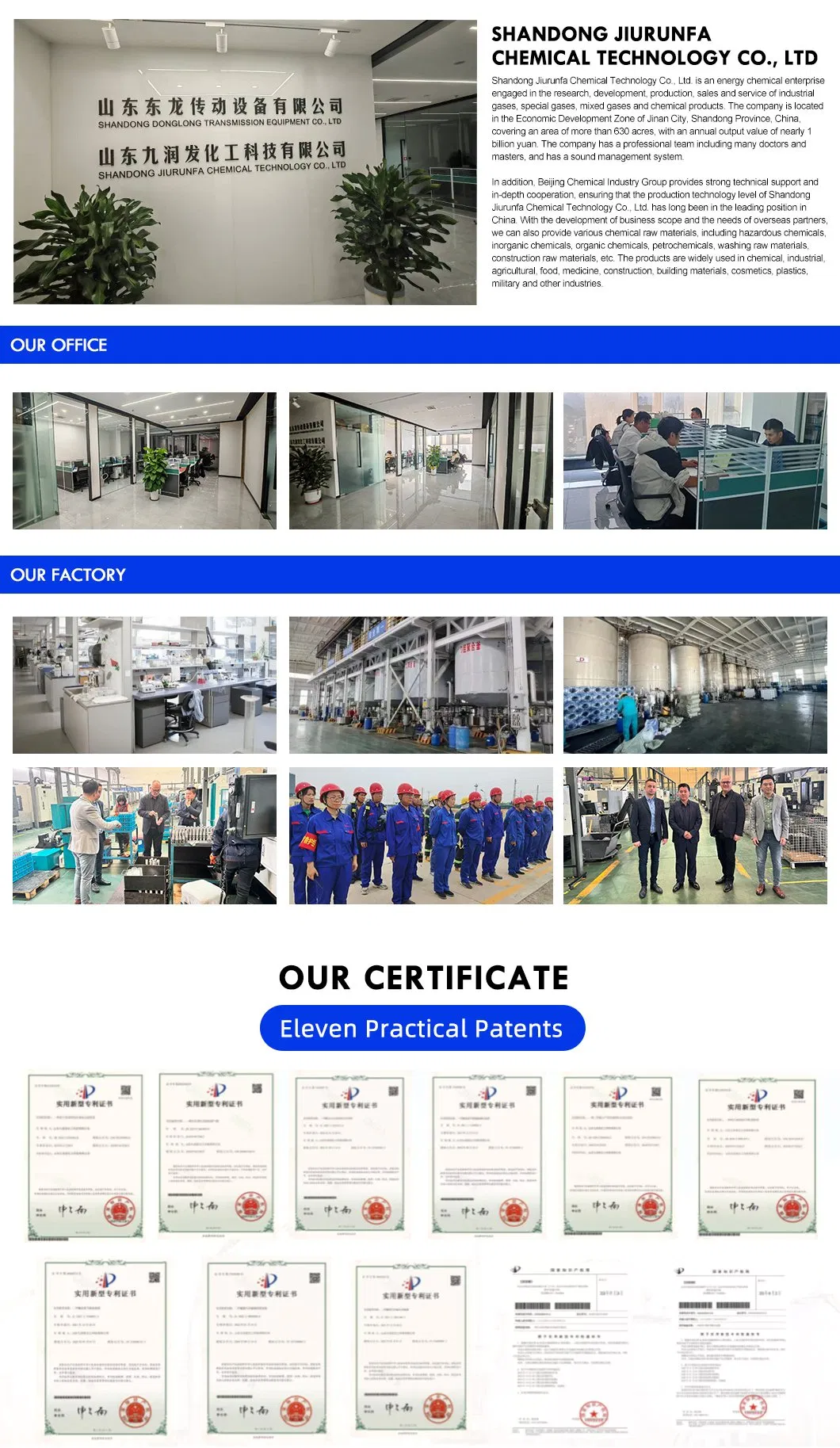 Company Profile View