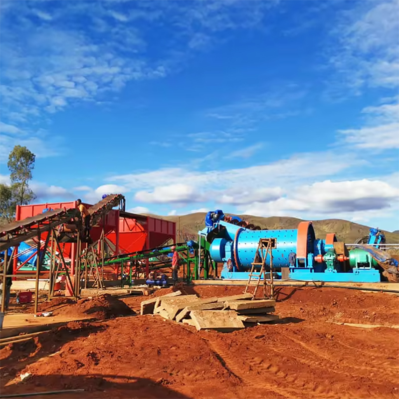 Factory Price for 50tpd-1000tpd Activated Carbon Leaching Cil Gold CIP Processing Plant