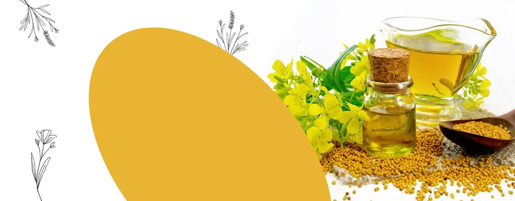 High Quality Myrrh Oil