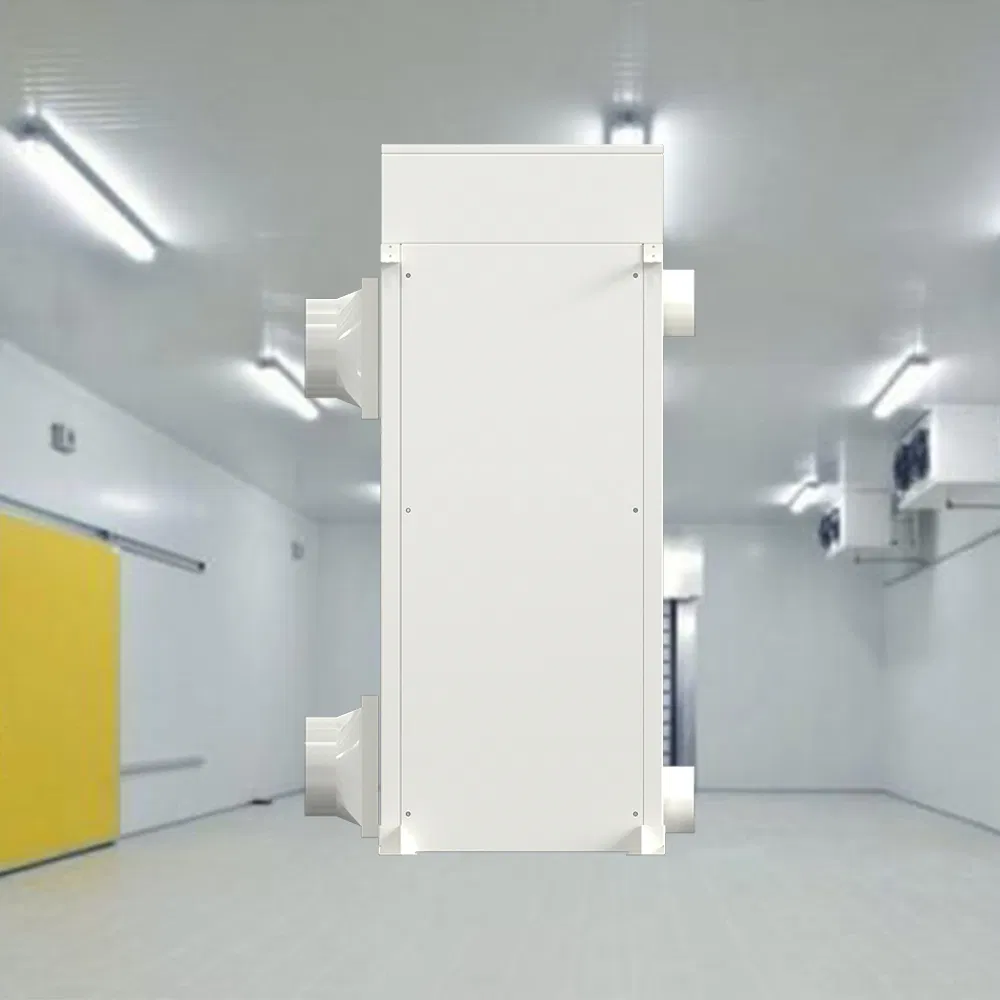 Bainasen Rscs-280 Solar Powered Eco-Friendly Cold Storage Warehouse Frost-Free Cold Storage Solution for Cold Storage