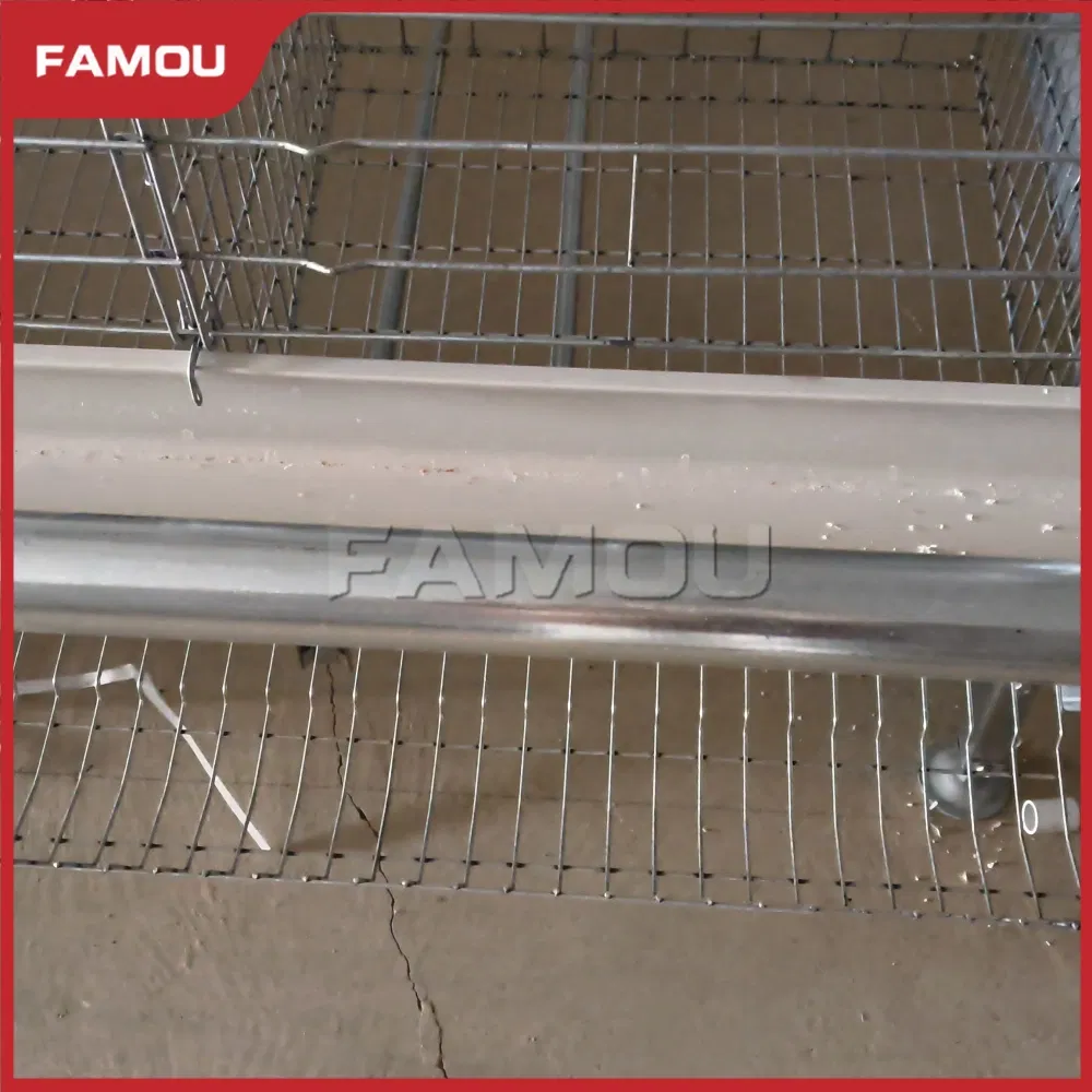 Smart Layer Chicken Cage for Advanced Poultry Farming Techniques