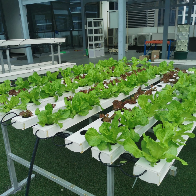 Rolling Glide Rack Nft Vertical Hydroponics System Hydroponics Shelves System