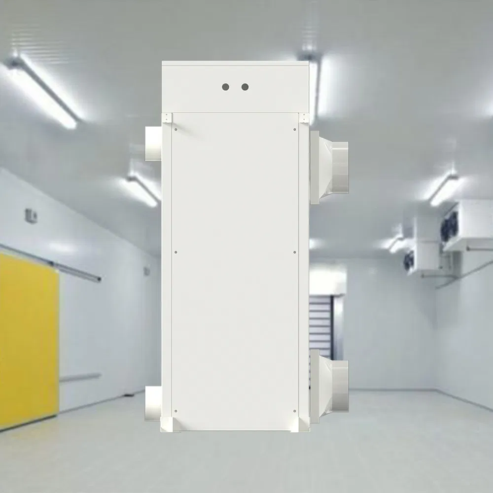 Bainasen Rscs-280 Solar Powered Eco-Friendly Cold Storage Warehouse Frost-Free Cold Storage Solution for Cold Storage