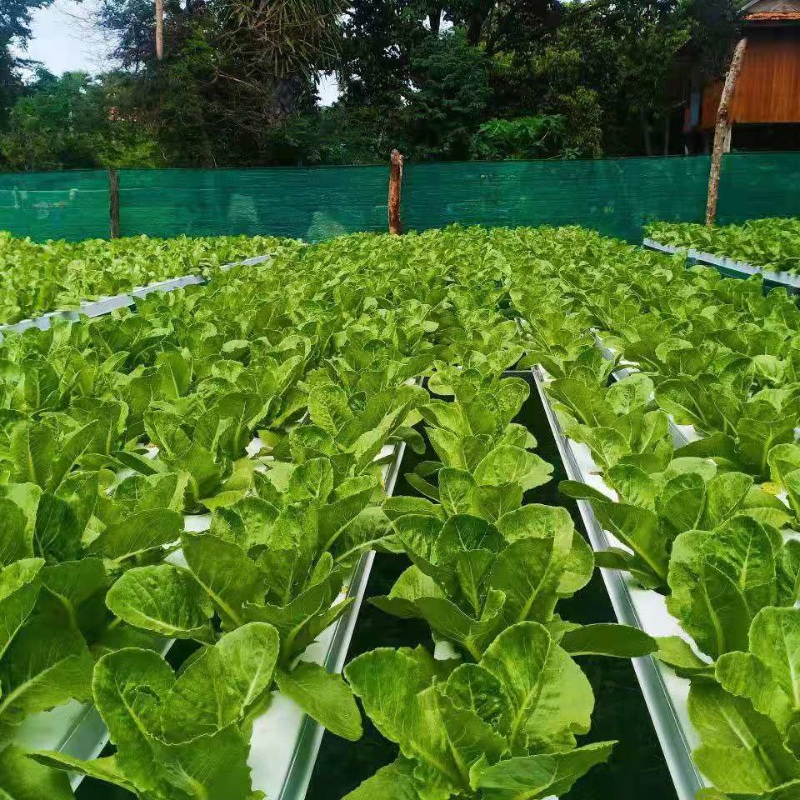 Nft Hydroponic Grow Kit Nft Channels 100X100 Aquaponics Growing Systems