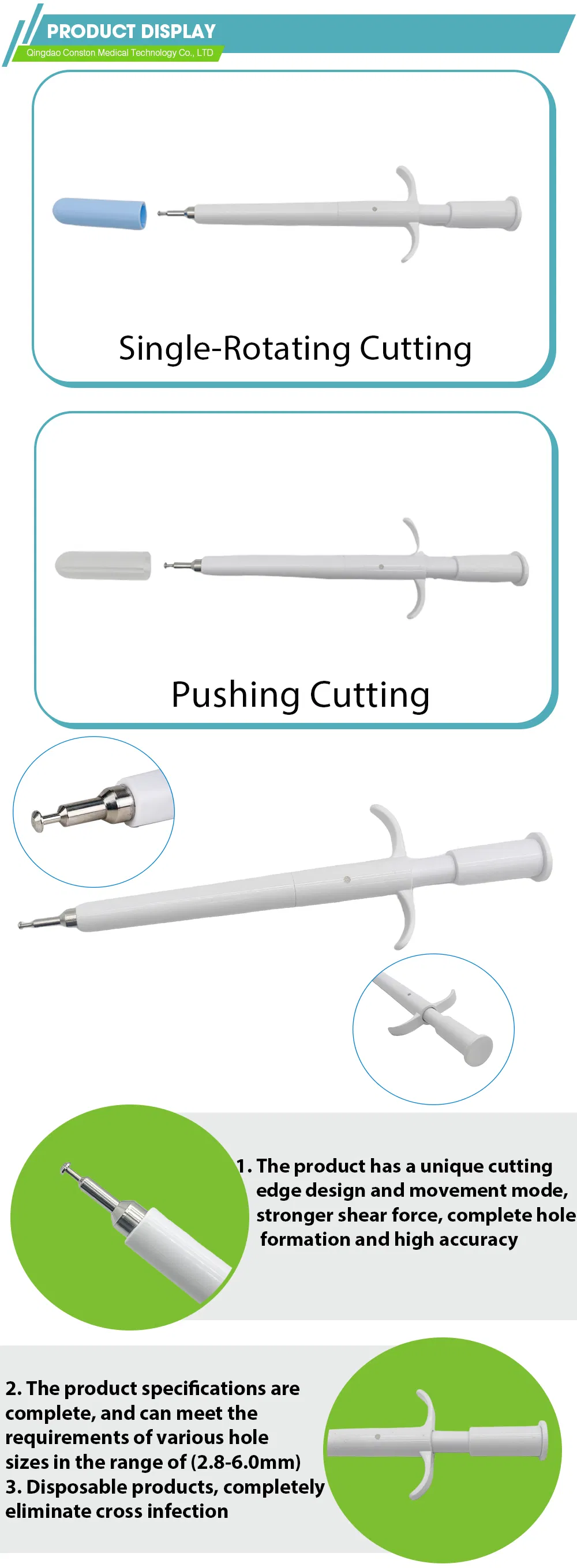 Aortic Punch Detail 1