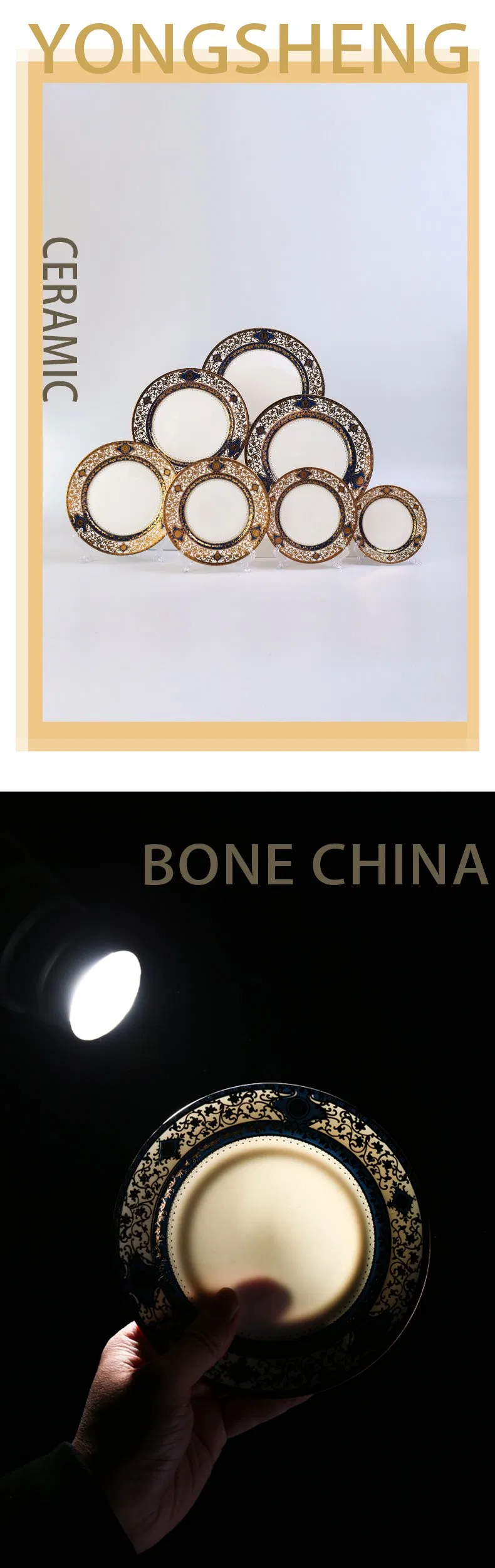 Detailed Plate View 1