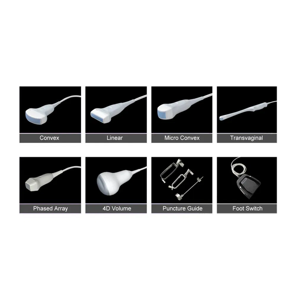 My-A031b 3D/4D Digital Color Doppler Ultrasound System