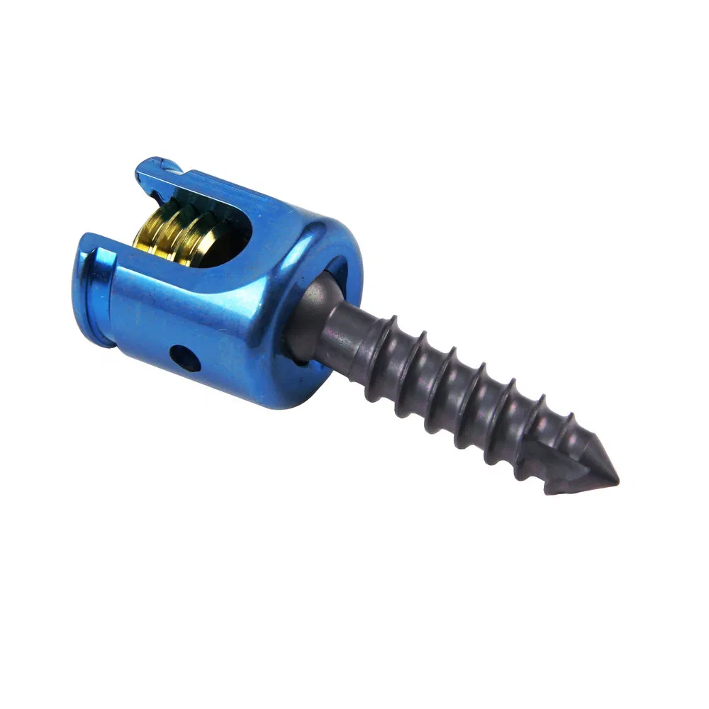 Quality Assured Orthopedic Surgical Implants Domino Bolt for Posterior Cervical Fixation System Spinal Medical Implant