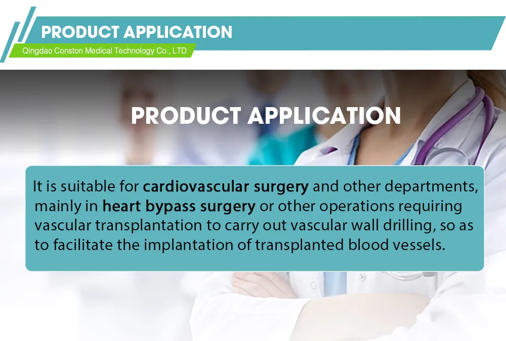 Aortic Punch Detail 3