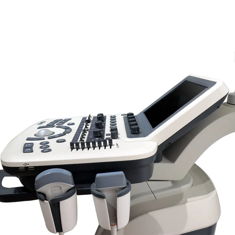 Digital Color Doppler Ultrasound System (3D/4D)