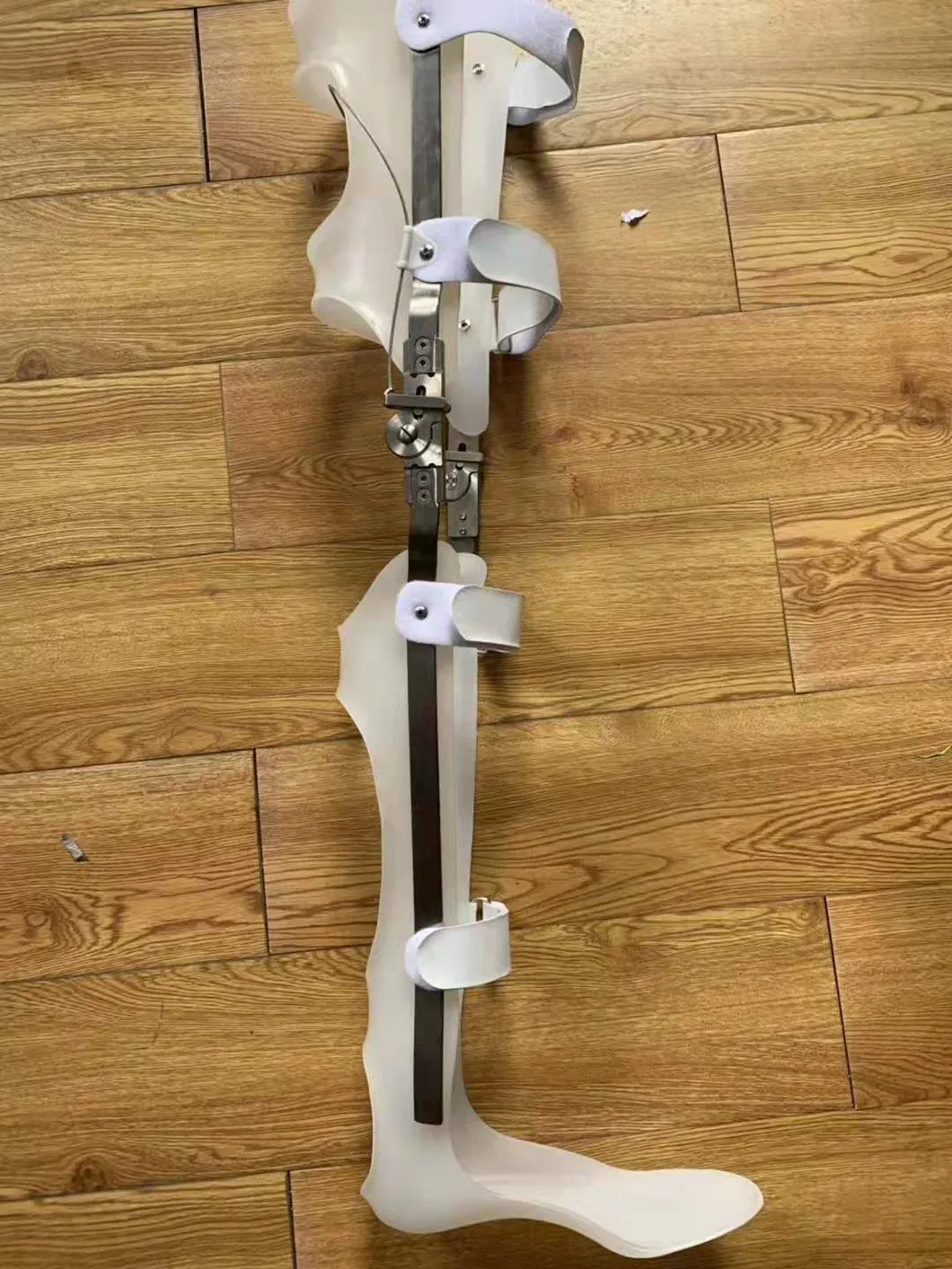 Prosthetic Knee Joint 3