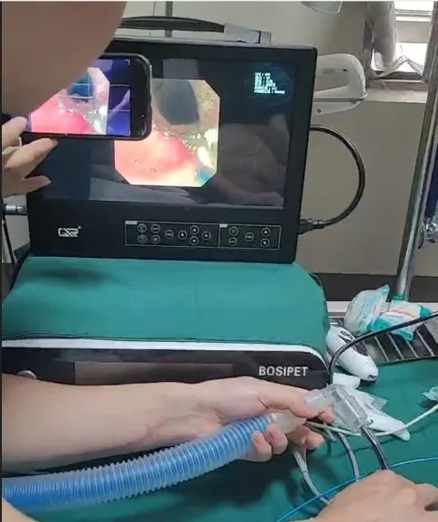 Operation Shooting 3