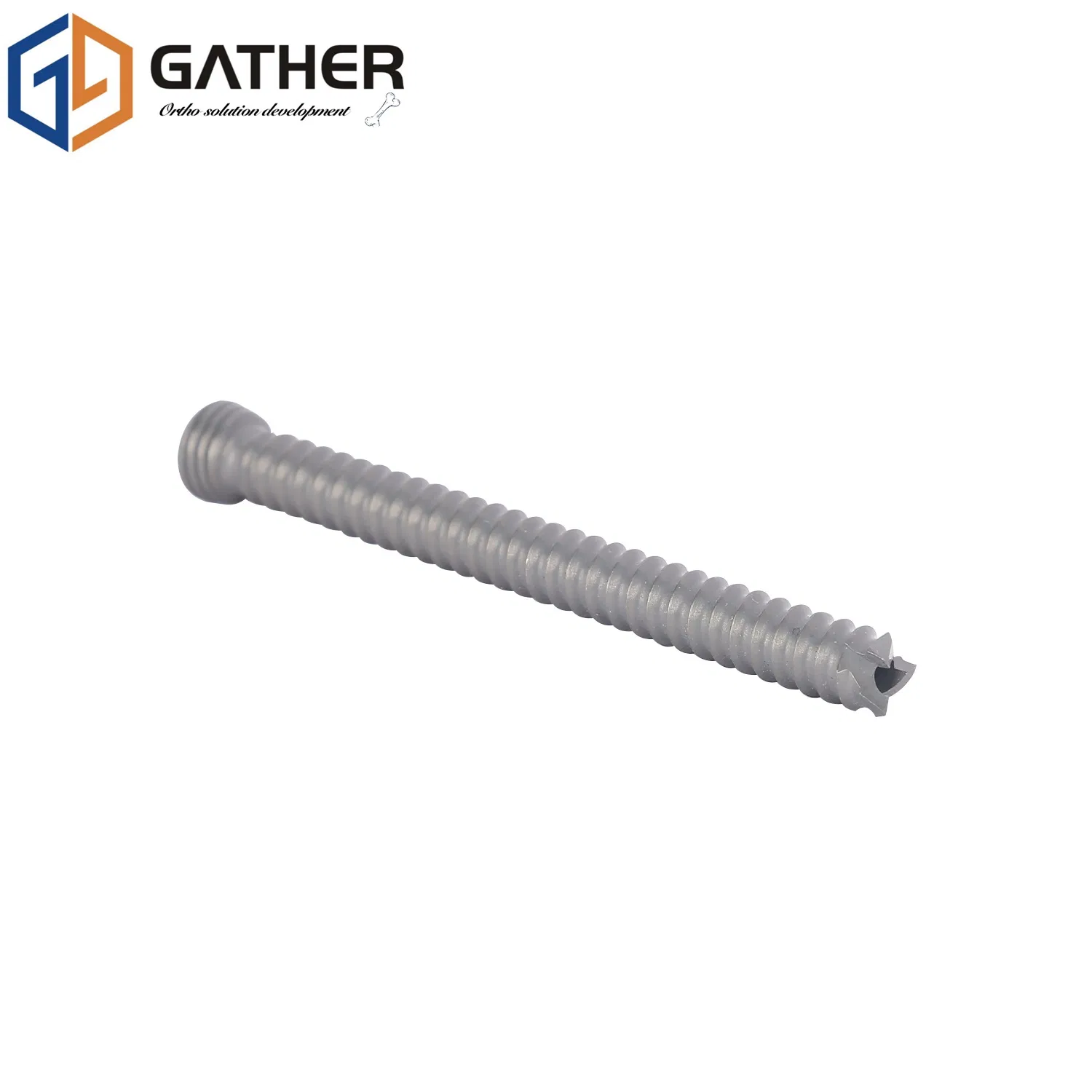 Spinal Fixation T Internal Implant Orthopedic Anterior Cervical Plate