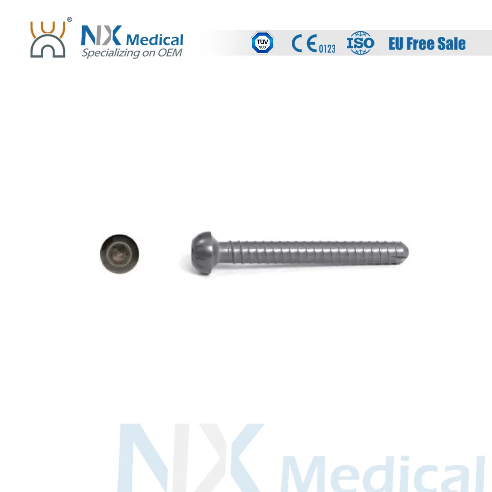 Orthopedic Implant Ankle Fusion Nail Interlocking Intramedullary Nail