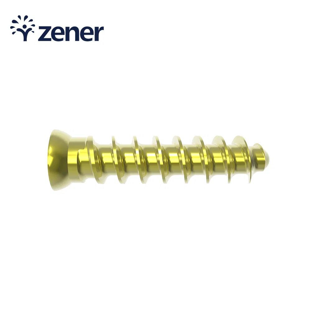 Medical Instrument Laminoplasty Intervertebral Fusion Cage System Spinal Implant Mercury Anterior Cervical Plate (Titanium)