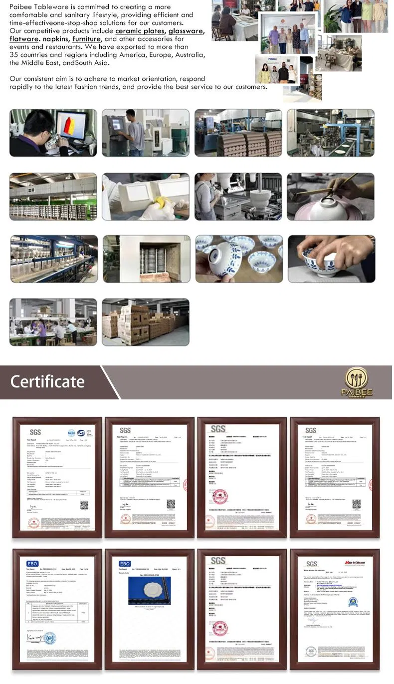 Bone China Plate Set 9