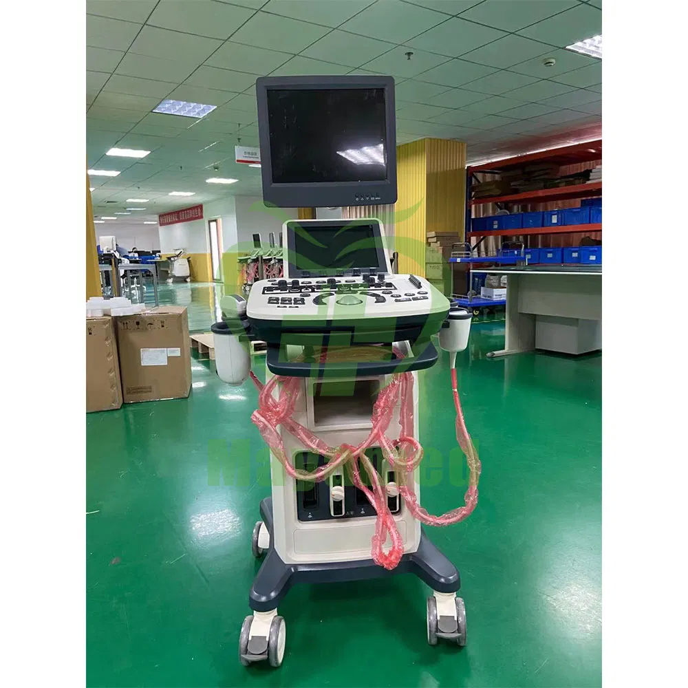 MAV480 (3D/ 4 D) Color Doppler Ultrasound Diagnosis System