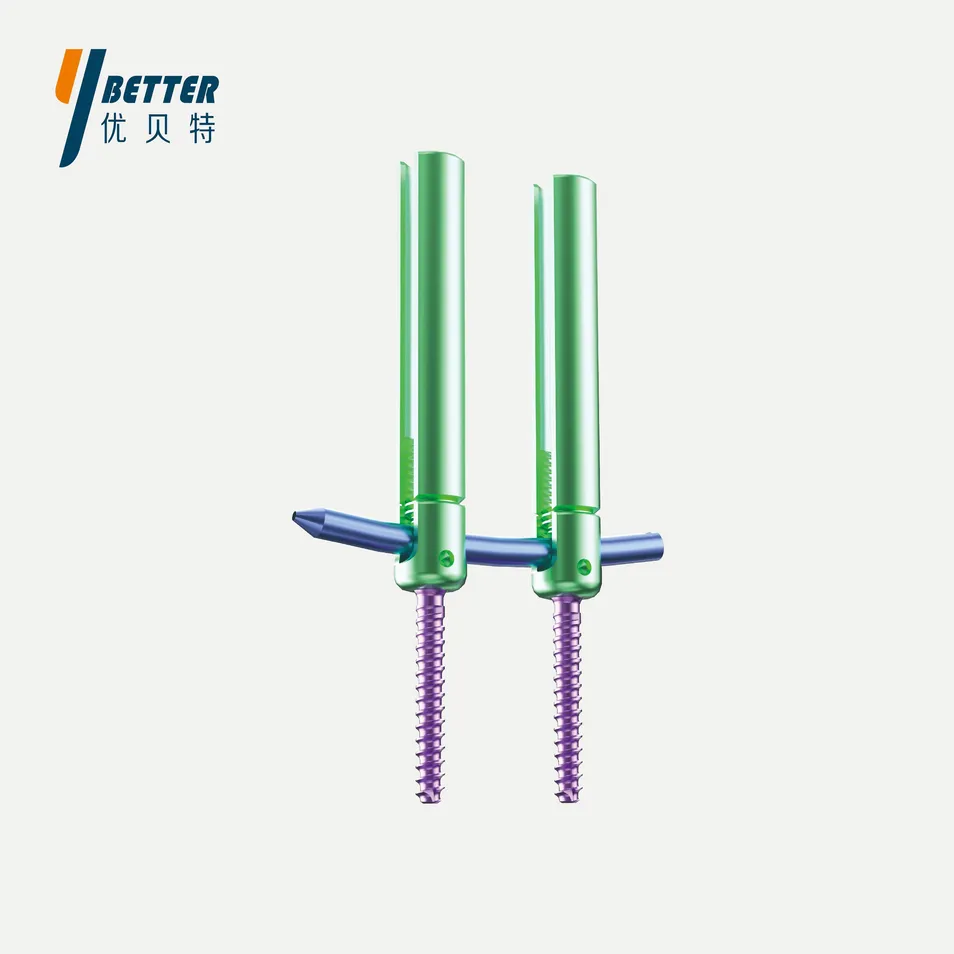 Spine Implant Detail