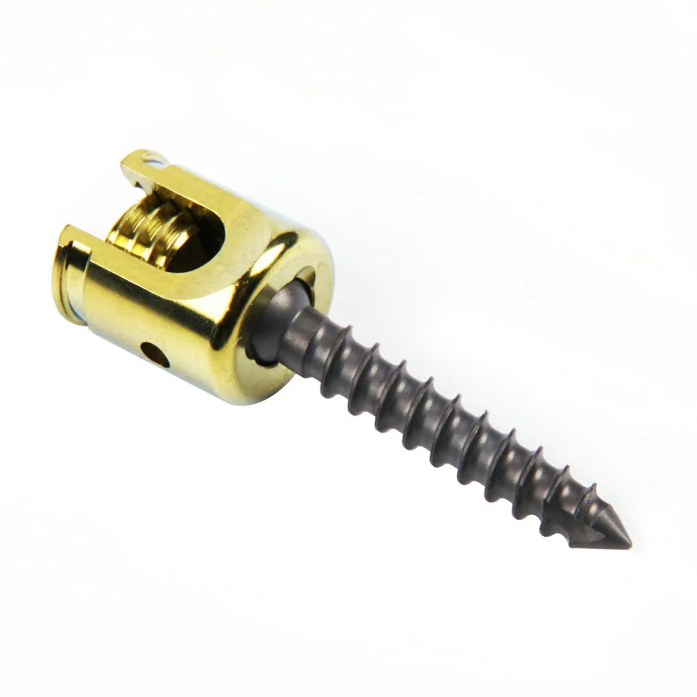 Assured Quality Orthopedic Surgical Implants Polyaxial Pedicle Screw for Posterior Cervical Fixation System Spinal Implant