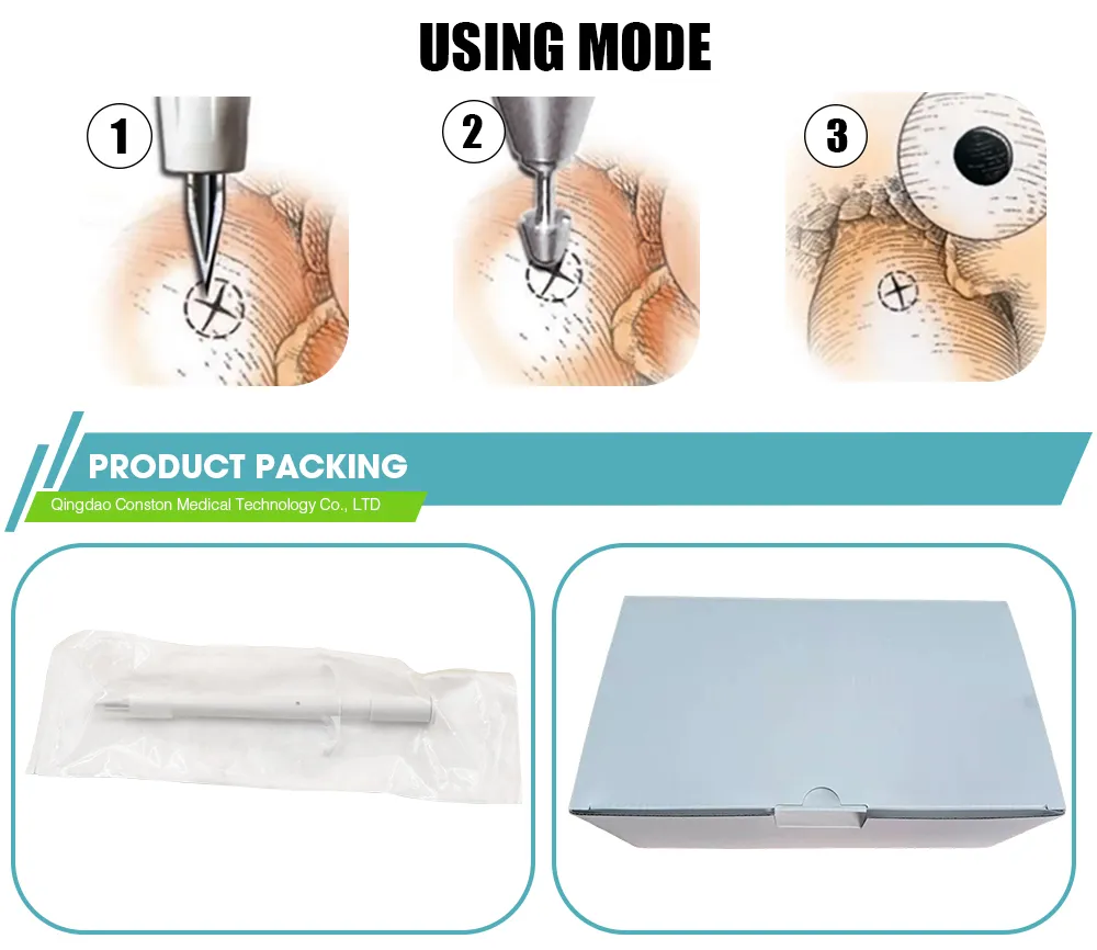 Aortic Punch Detail 2
