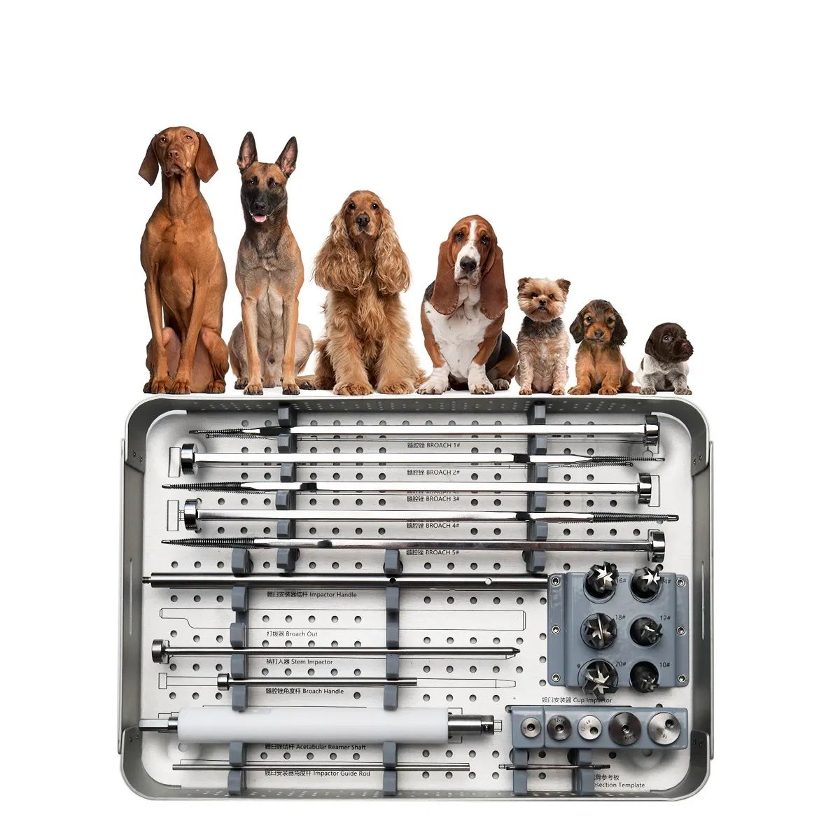 Vet Orthopedic Hip Joint Replacment Mini Dual Bipolar Hip Prosthesis System Intrument