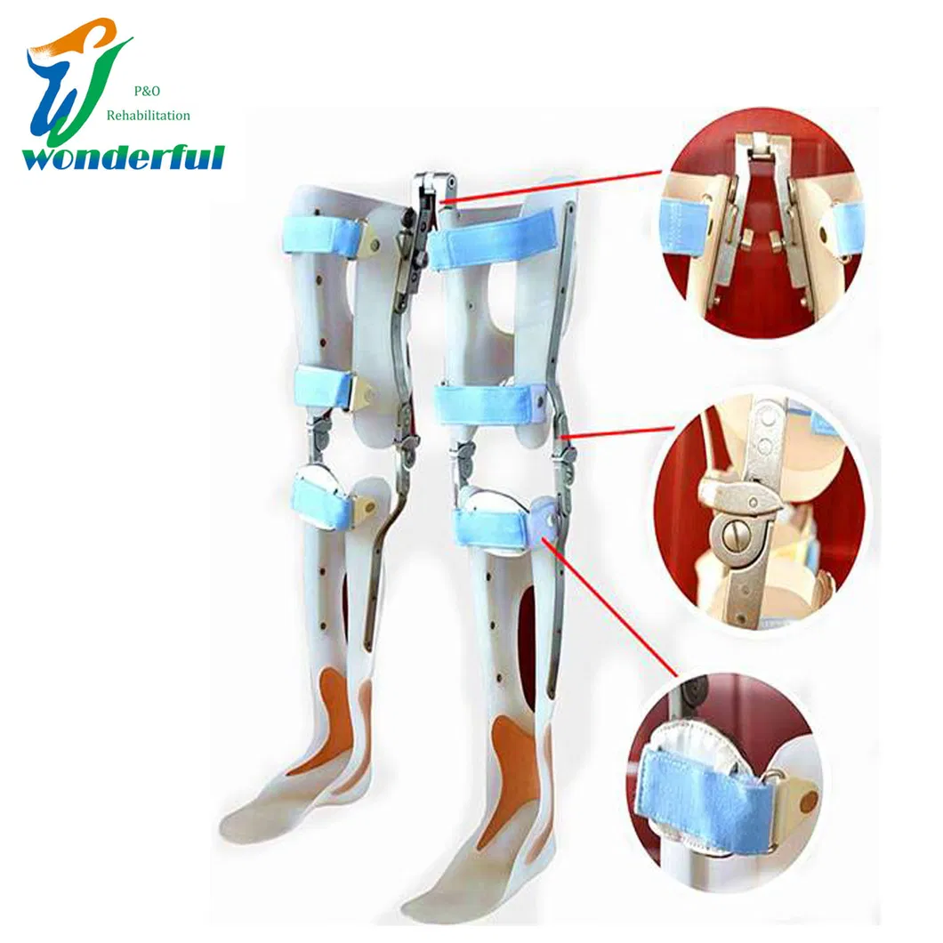 Prosthetic Knee Joint Detail 1