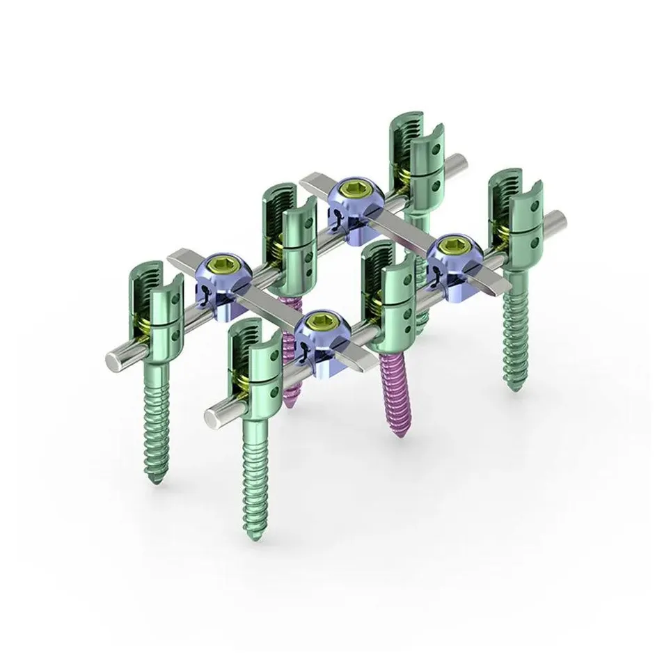 Spine Implant Detail 2