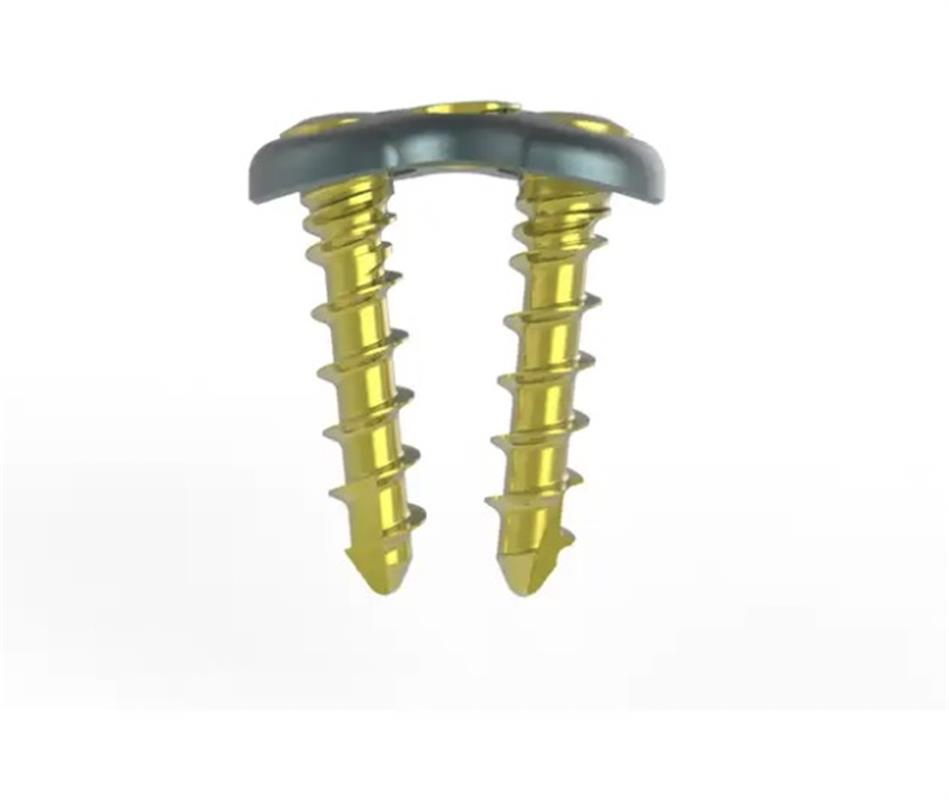 Spinal Implant Titanium Spinal Series Anterior Cervical Plates