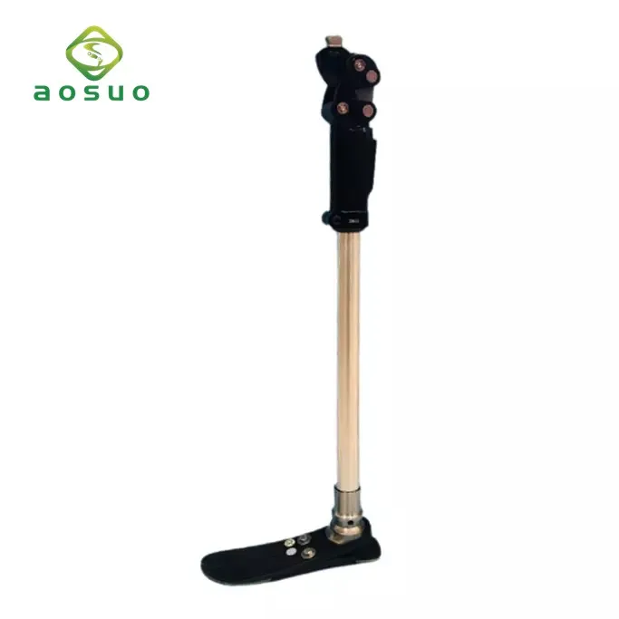 Prosthetic Components