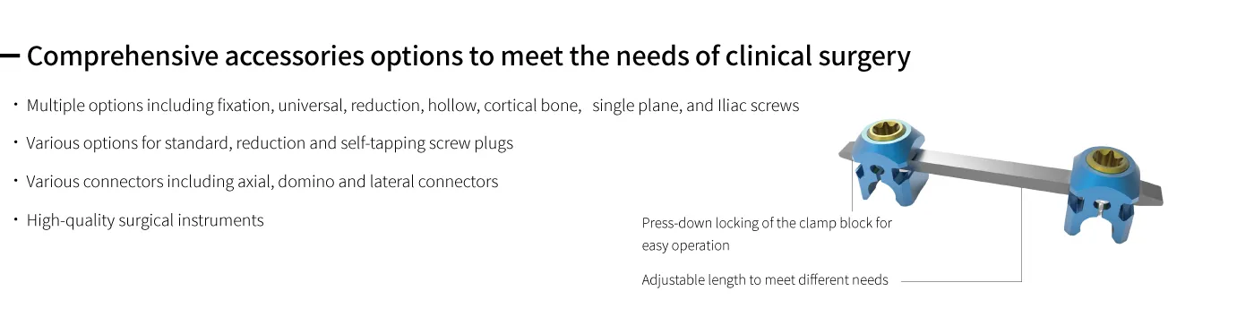 Spinal System Detail 3
