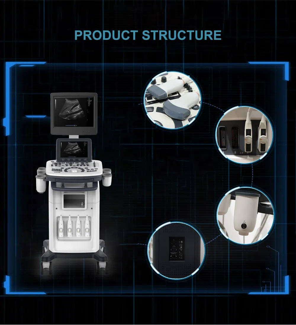 Ultrasound Connectivity