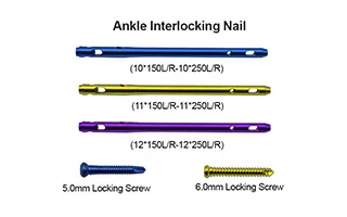 Ankle Intramedullary Nail Detail