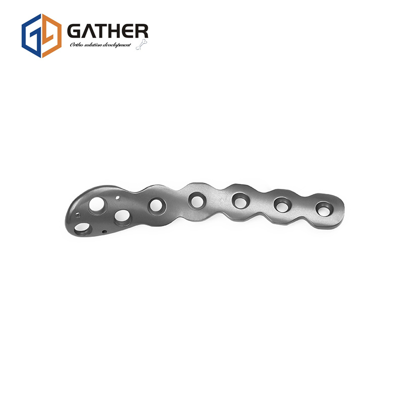 Fixation Surgery Bone Fixed Orthopedic Titanium Full Types Fracture Plate