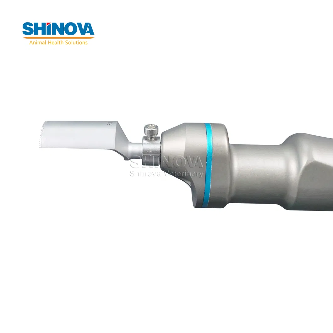 Orthopedic Clinic Equipment