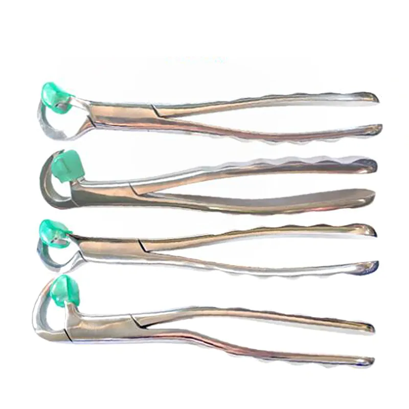 Tooth Extraction Forceps 3