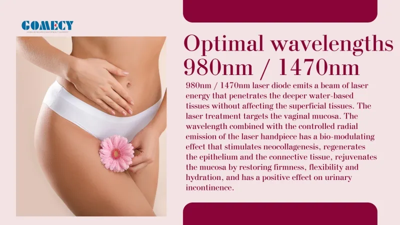 Laser Gynecology Device