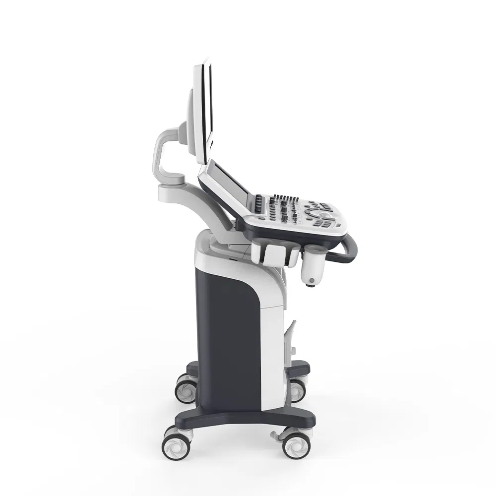 Digital Color Doppler Ultrasound System (3D/4D)