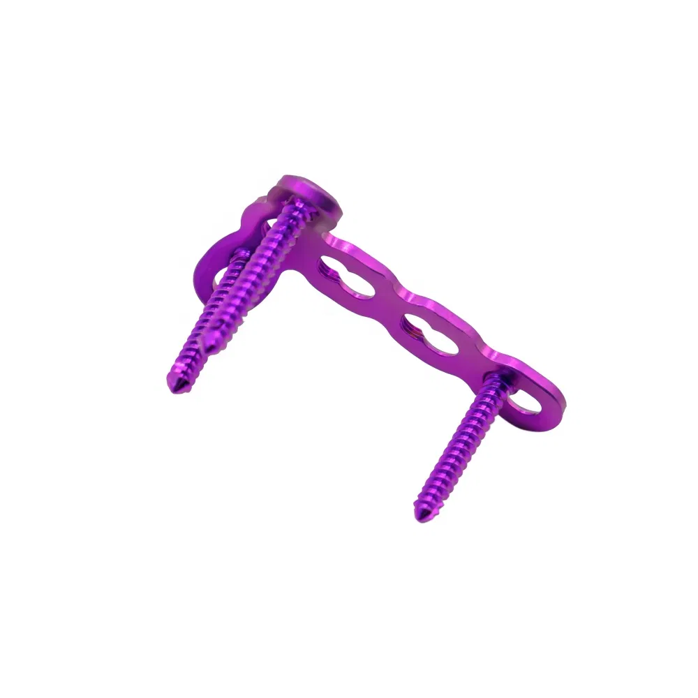 Maxillofacial Mini Micro Locking T Plate Head Bone Plate Bone Screw