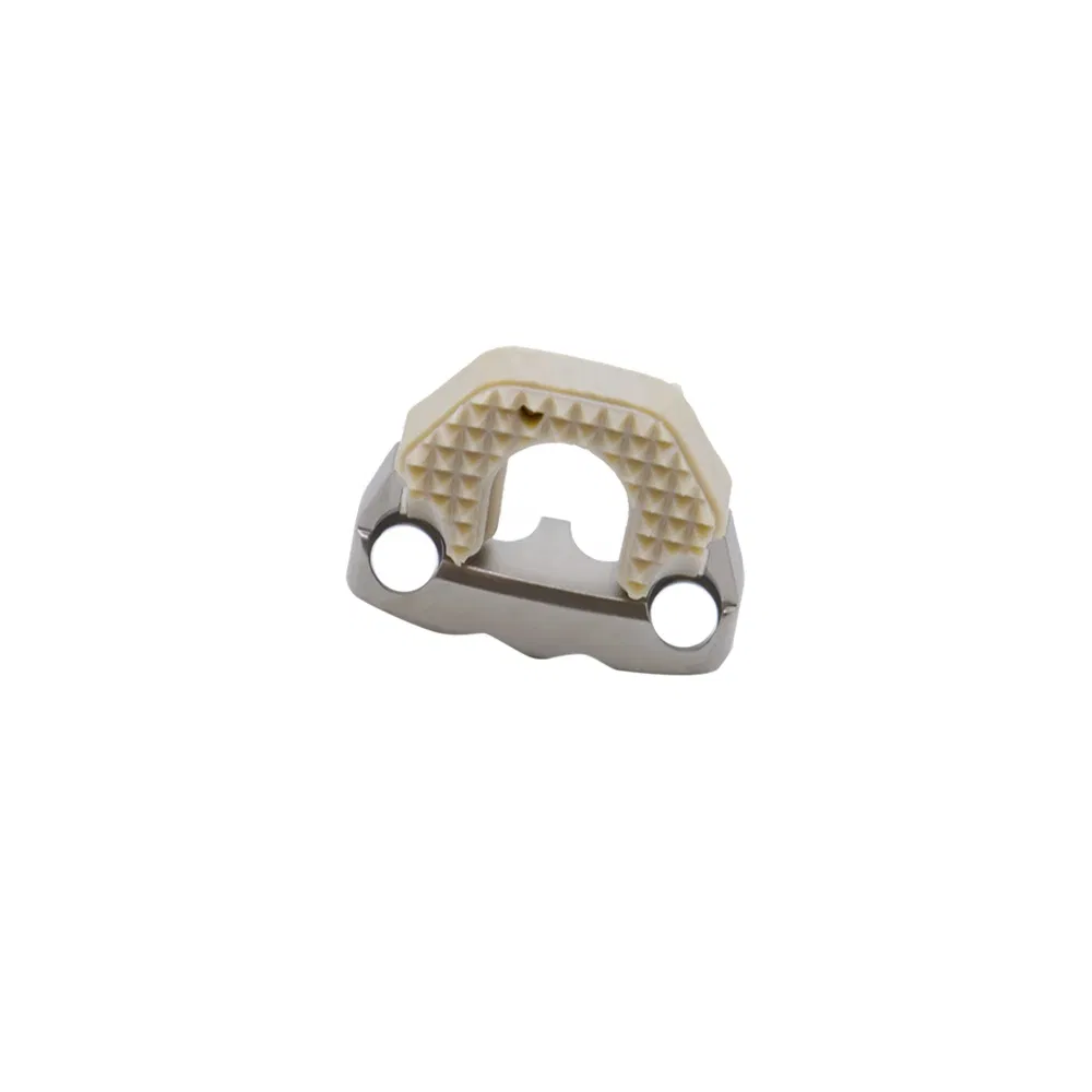 Spinal Implant Fixation Internal Anterior Pedicle Plate