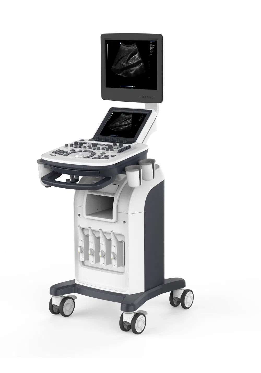 Ultrasound Imaging 1