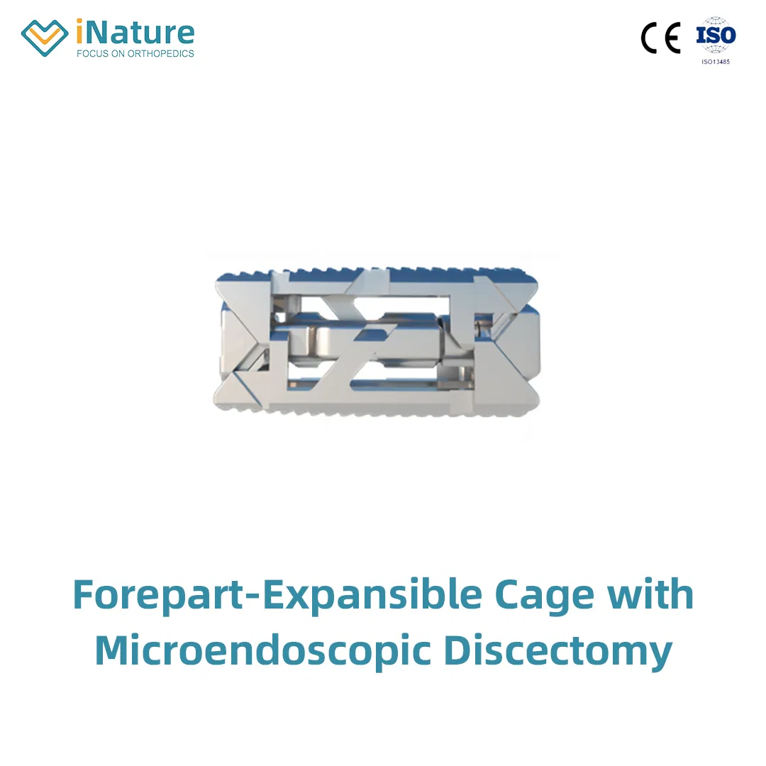 Orthopedic Spine Fixation Spinal Implant Peek Fusion Cage Plif