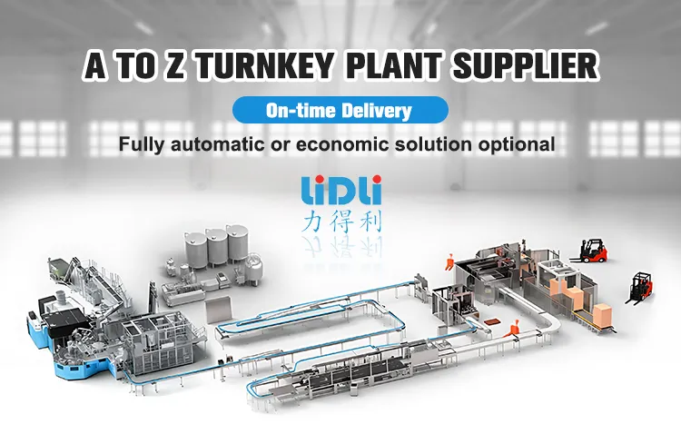 Water Treatment Machine