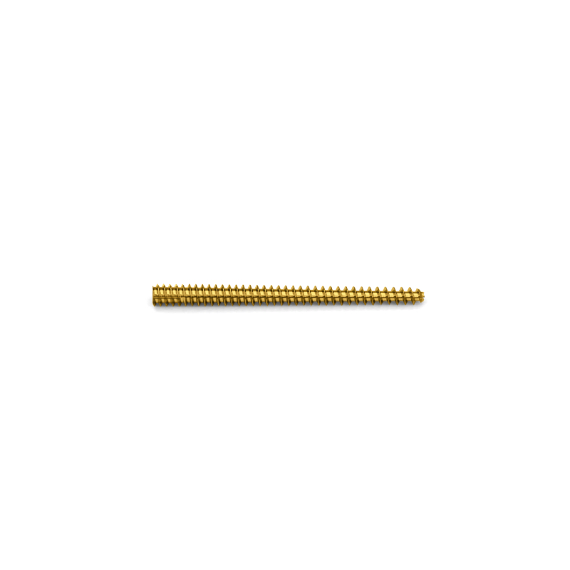 Advanced 5.0mm Conical Headless Compression Bone Screw for Orthopedic Use