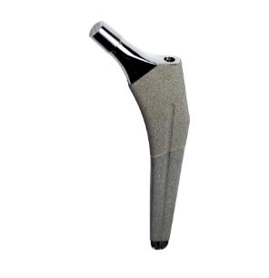 3D Printing Titanium Alloy Porous Orthopedic Device Implant