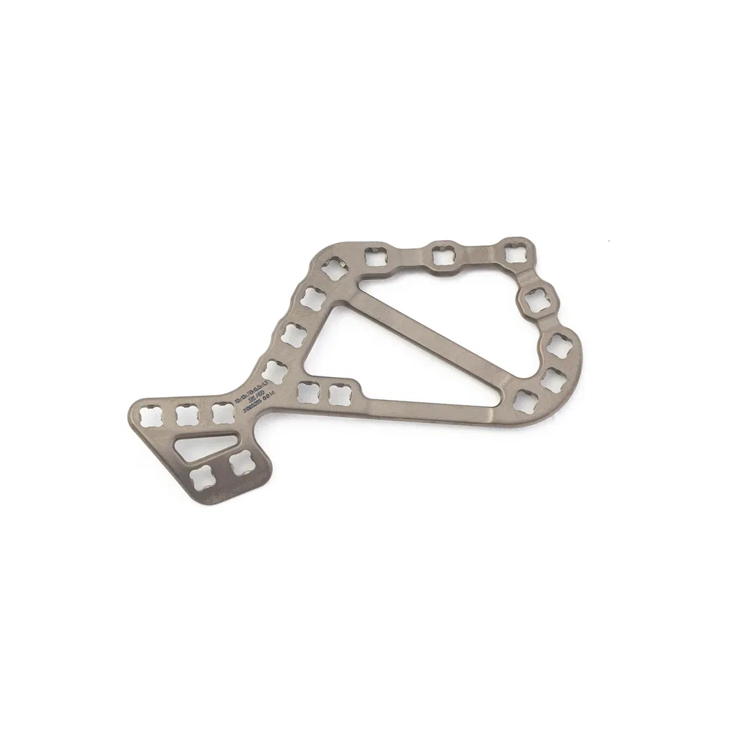 Calcaneus Plate View 2